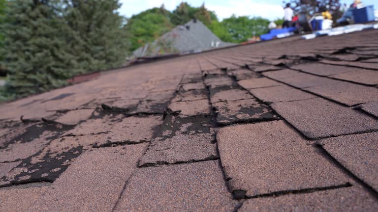 Best Storm Damage Roof Repair  in Freedom, PA